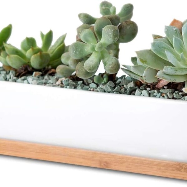 9 "Modern Long Ceramic Planter Set with Tray , " Planter, Succulent Pot, Cactus Planter, Ceramic Long Planter, w Tray, Plant Not Included