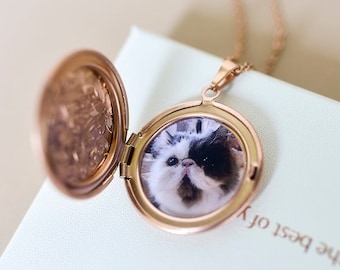 Pet Locket Necklace - Custom Pet Photo Locket - Locket Necklaces with Photo - Cat Lover Gift - Pet Memorial Jewelry Grandma Gift