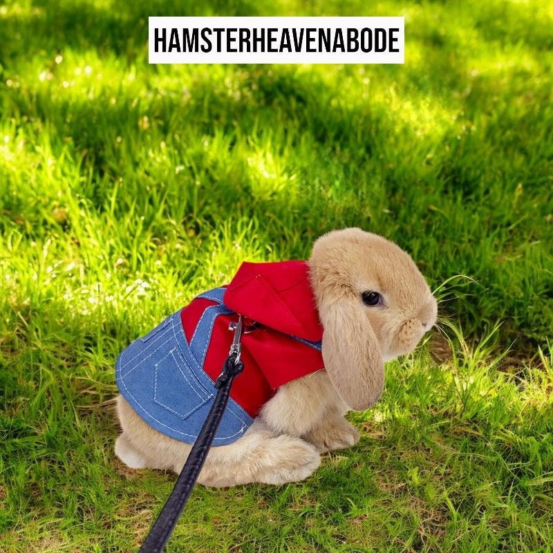 Pet Bunny Backpack Etsy