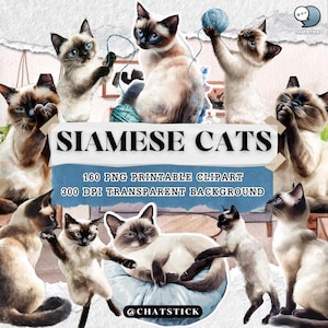 Pacote de clipart de gatos siameses - 160 ilustrações de gatos em aquarela PNG, download digital de 300 DPI, arte fofa com fundo transparente