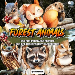160 Clipart Animaux De La Forêt | Créatures des bois imprimable PNG | raton laveur, hibou, écureuil, renard | 300 ppp sur fond transparent