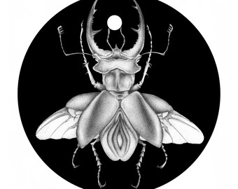 The Doe Beetle - Black and White Insect Print 20x20cm, Hand Drawn Line Illustration, Dotwork Ink