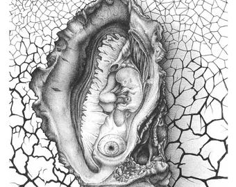 Könnte beinhalten: Eine Schwarzweißzeichnung einer Austernschalen mit einer detaillierten anatomischen Illustration eines Auges, eines Mundes und anderer innerer Organe im Inneren.