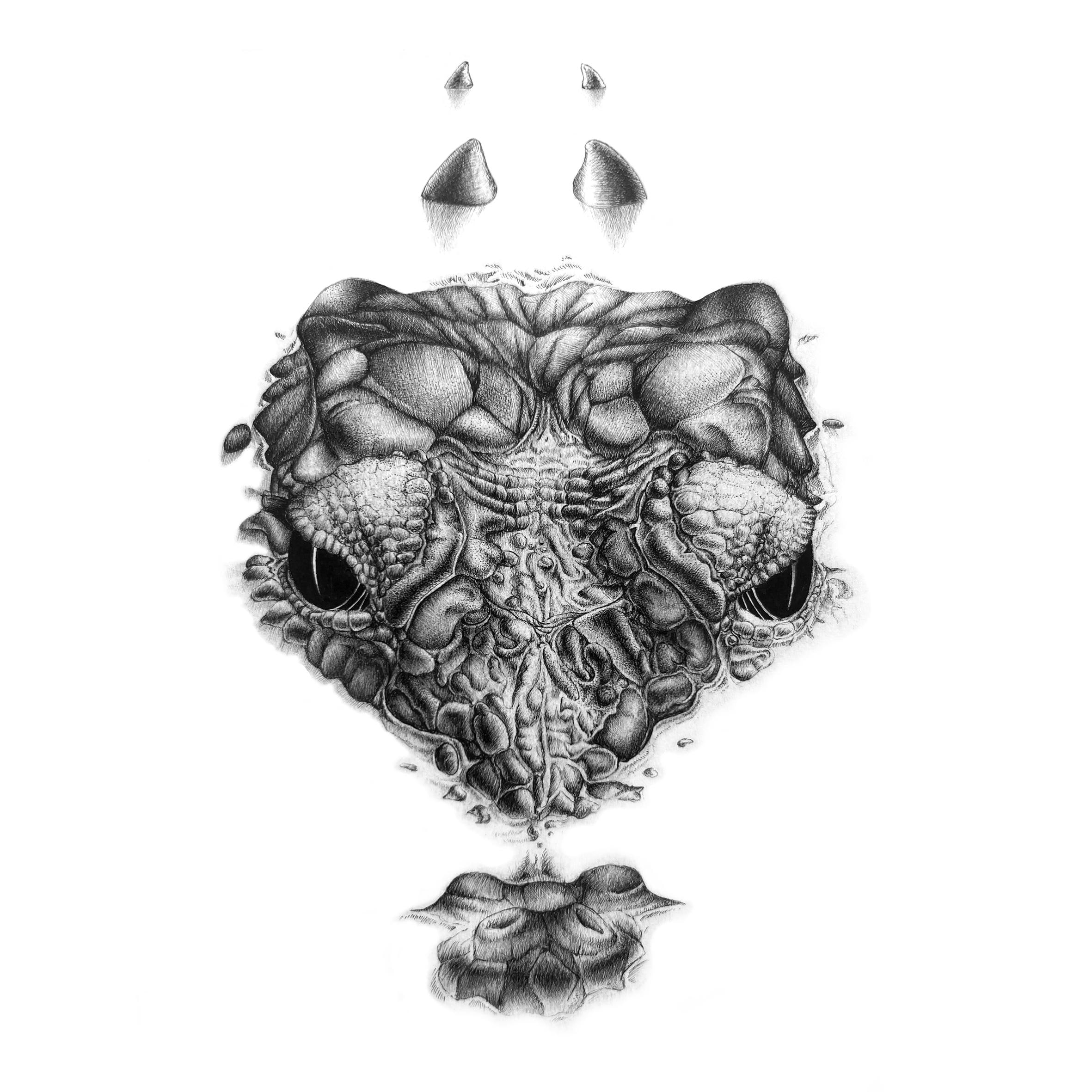 The Crocodile Tears - Black and White Art Print 20x20cm, Hand Drawn ...
