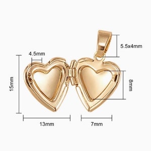 K&ouml;nnte beinhalten: Ein goldfarbener herzf&ouml;rmiger Medaillon-Anh&auml;nger, ge&ouml;ffnet, um zwei F&auml;cher freizugeben. Das Medaillon misst 15 mm hoch, 13 mm breit und 4,5 mm dick. Die Anh&auml;ngerschlaufe ist 5,5 x 4 mm gro&szlig;, und das Herzinnere ist 8 mm hoch und 7 mm breit.