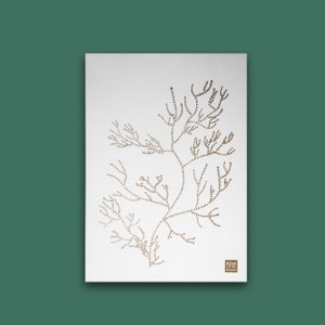 Plante Or - Illustration A5 en risographie