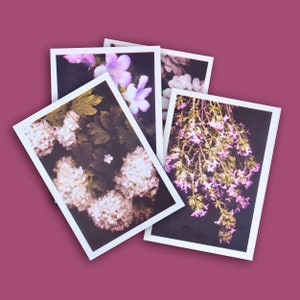 Collection Botanique - carte A6 en risographie