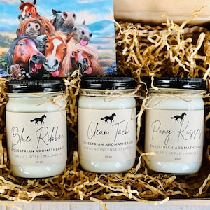 3 horse candle gift set