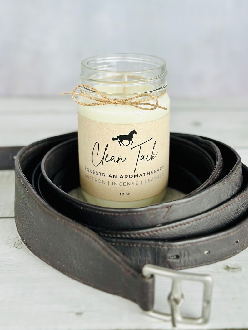 Equestrian Gift Box Horse Candles Gift for Horse Lovers 100% Soy Wax Hand Poured Phthalate Free Horse Scents image 4