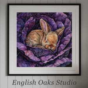 May include: A framed print depicting a sleeping brown rabbit in a purple cabbage. The artwork is detailed with water droplets. The text "English Oaks Studio" is at the bottom. The image has a realistic style.