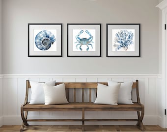 Coastal Print Set: Blue Crab, Nautilus Shell, Coral Paintings