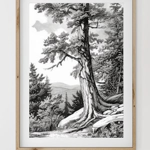 Vintage Forest Landscape Sketch Art: Rustic Neutral Printable