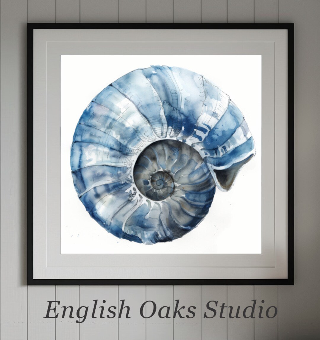 Blue Nautilus Shell Watercolor Print: Coastal Beach Decor - Etsy