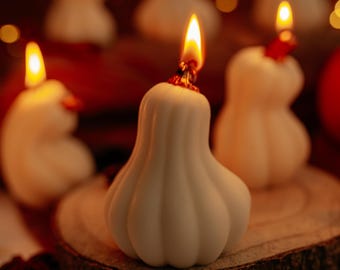 Weiße Kürbis-Kerze für Thanksgiving Day Geschenke Dekor