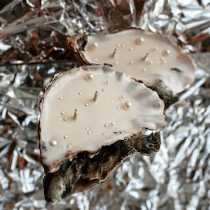 Two oyster shell candles with pearl decorations on a shiny silver foil background.