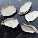 Shell Candles