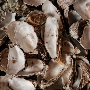 Puede incluir: Primer plano de un montón de conchas de ostra. Las conchas son principalmente blancas y beige, con algunos tonos marrones y verdes más oscuros. Las conchas están abiertas, revelando las superficies internas nacaradas.