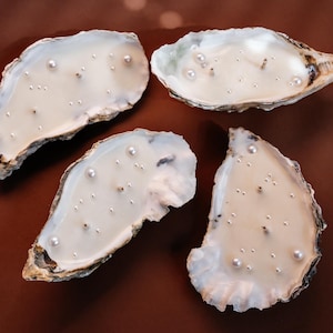Four large oyster shell candles with two wicks and pearl decor. The candles are laid out on a smooth dark brown background, contrasting with the white wax.