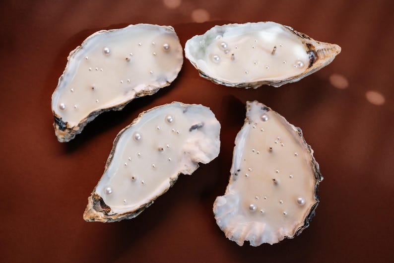 Four large oyster shell candles with two wicks and pearl decor. The candles are laid out on a smooth dark brown background, contrasting with the white wax.