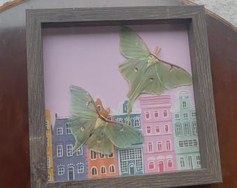 Luna Moth shadow box frame - Moon Moth - Actias Luna x2 - Oddity - Cityscape - Pastel Cottagecore - Gift - Fairy Tale Art - Insect Moth Art