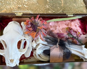 May include: An open, ornate, gold-colored box contains a cat skull, bones, dried flowers, and a black tulle bow with a tag. The flowers are orange, purple, and pink. The box has a dark brown interior.