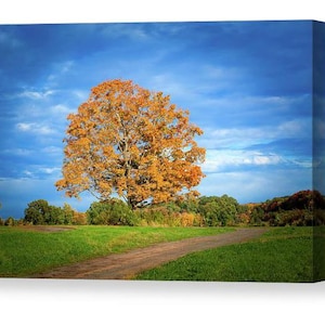 Autumn, Digital Download, Gold Autumn leaves, Autumn pictures, Fall Foliage, Wall Decor, Fall Canvas, Fine Art Photography, Autumn colors