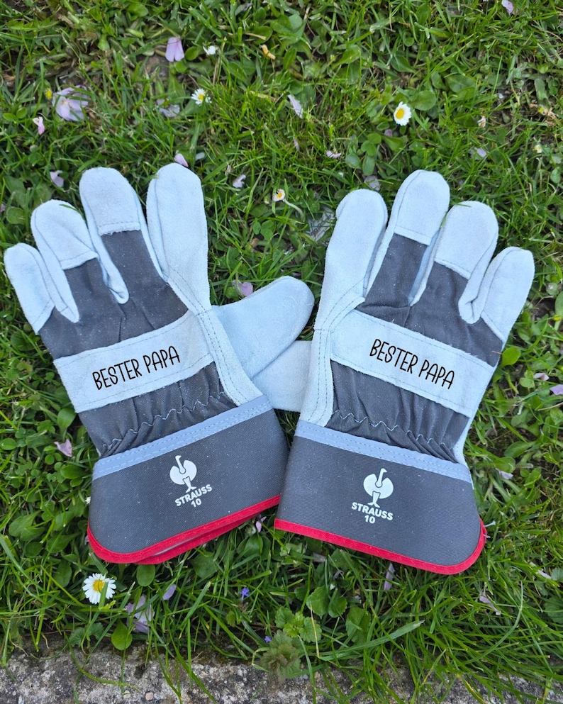 May include: A pair of work gloves with light blue and dark gray panels, red trim, and the text "BESTER PAPA" in white. The gloves have the "STRAUSS 10" logo and are set against a backdrop of green grass.