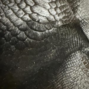 May include: Close-up of a black textile with a textured, scale-like pattern. The fabric has a soft, furry appearance in some areas, with a darker, more defined pattern in others. The overall effect is a mix of textures and tones.