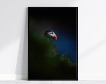 Moody Puffin Portrait Print: Coastal Wildlife Photography, Framed Option