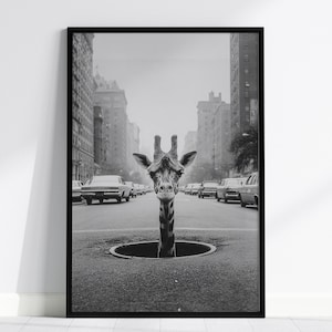 Può includere: Stampa incorniciata in bianco e nero con una giraffa che emerge da un tombino in una strada cittadina. Auto d'epoca parcheggiate sulla strada, con edifici alti sullo sfondo. Immagine surreale e accattivante.