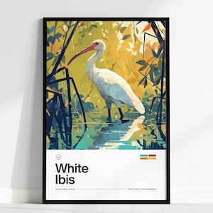 White Ibis Art Print: Modern Coastal Wildlife Poster