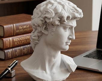 May include: A white plaster bust of Michelangelo's David, showcasing the sculpture's detailed facial features and curly hair. The bust is positioned on a wooden surface, near a laptop and books about Renaissance art.