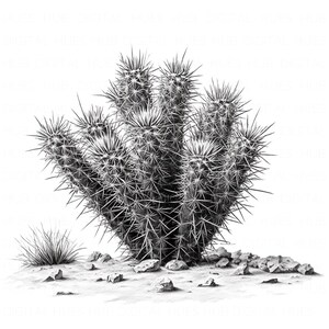 16 imágenes prediseñadas de cactus en blanco y negro, boceto de planta de cactus en el desierto, arte minimalista suculento imprimible en formato JPEG de alta calidad para arte de pared, guardería, hogar
