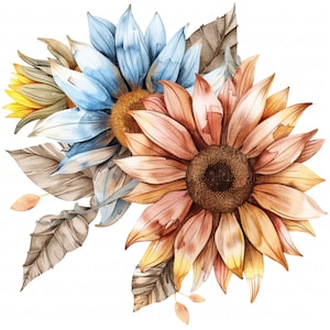 10 bunte getrocknete Sonnenblumen Clipart Bundle Aquarell Sonnenblume Art Printable hochwertige JPEG für Junk Journal Papier Handwerk Scrapbook Karte