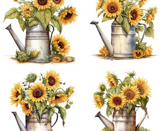 Könnte beinhalten: Vier antike Gießkannen mit gelben Sonnenblumen und grünen Blättern. Jede Gießkanne hat ein rustikales, gealtertes Aussehen mit einem Metallschnabel und einem Griff.