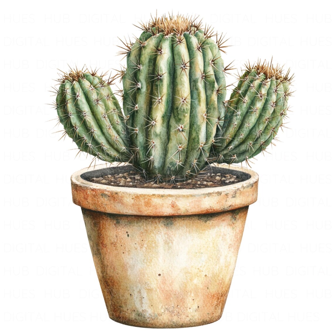 12 Cactus in Pot Clipart Watercolor Desert Cactus Plant Succulent ...