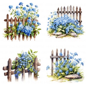 Bundle de cliparts de clôture en bois de myosotis, aquarelle de fleurs clôture imprimable JPEG de haute qualité pour le journal indésirable, artisanat en papier, album à monter soi-même