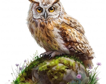 12 Owl on Moss Rock Clipart Watercolor Nursery Owl Digital Download High Quality JPEG Printable For Scrapbook Junk Journal Paper Craft DIYs