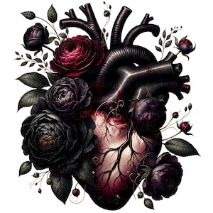 May include: A digital illustration of a human heart, rendered in dark tones with intricate details. The heart is adorned with black and deep red roses and foliage, creating a gothic or romantic aesthetic. The image has a high level of detail and a dramatic contrast.