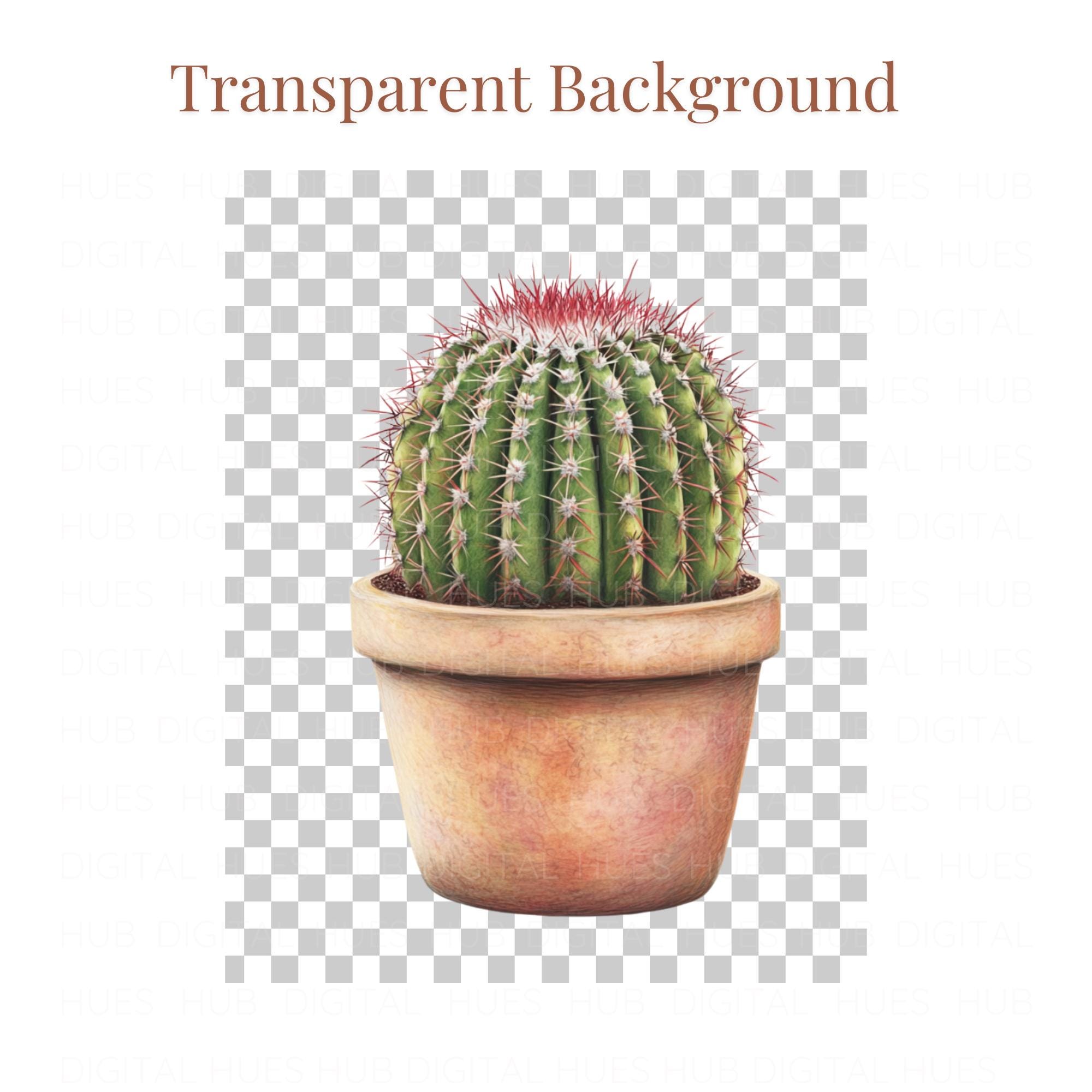 12 Cactus in Pot Clipart Watercolor Desert Cactus Plant Succulent ...