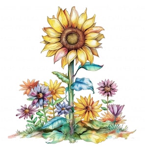 10 Girassol Margarida Desenho Clipart Aquarela Crianças Berçário Arte de Parede Girassol Imprimível Alta Qualidade JPEG Junk Journal Papel Artesanal Scrapbook