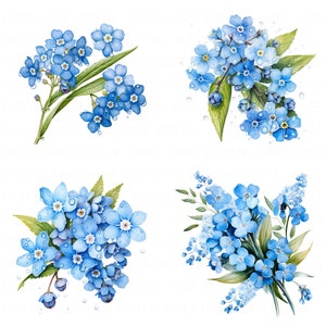 18 Nie zapomnij mnie Kwiat Clipart Bundle Akwarela Nie zapomnij mnie Wydrukuj Wysokiej Jakości JPEG Dla Junk Journal Papier Rzemiosło Scrapbook Karta DIY