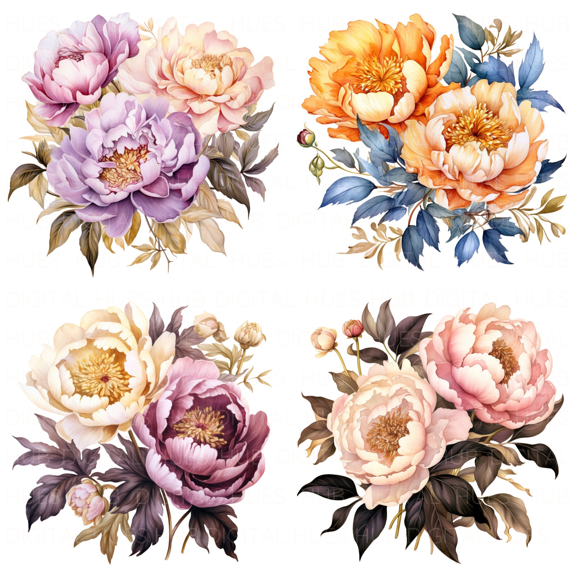 15 Colorful Peonies Clipart Bundle Watercolor Clipart Printable High ...