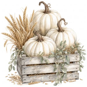May include: A wooden crate filled with three white pumpkins, stalks of golden wheat, and green leafy vines. The crate has a weathered, light gray finish. Scattered wheat grains and small pieces of straw are visible at the base of the crate.