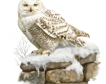 12 Owl on Stone Wall Clipart Watercolor Nursery Owl Digital Download High Quality JPEG Printable For Scrapbook Junk Journal Paper Craft DIYs
