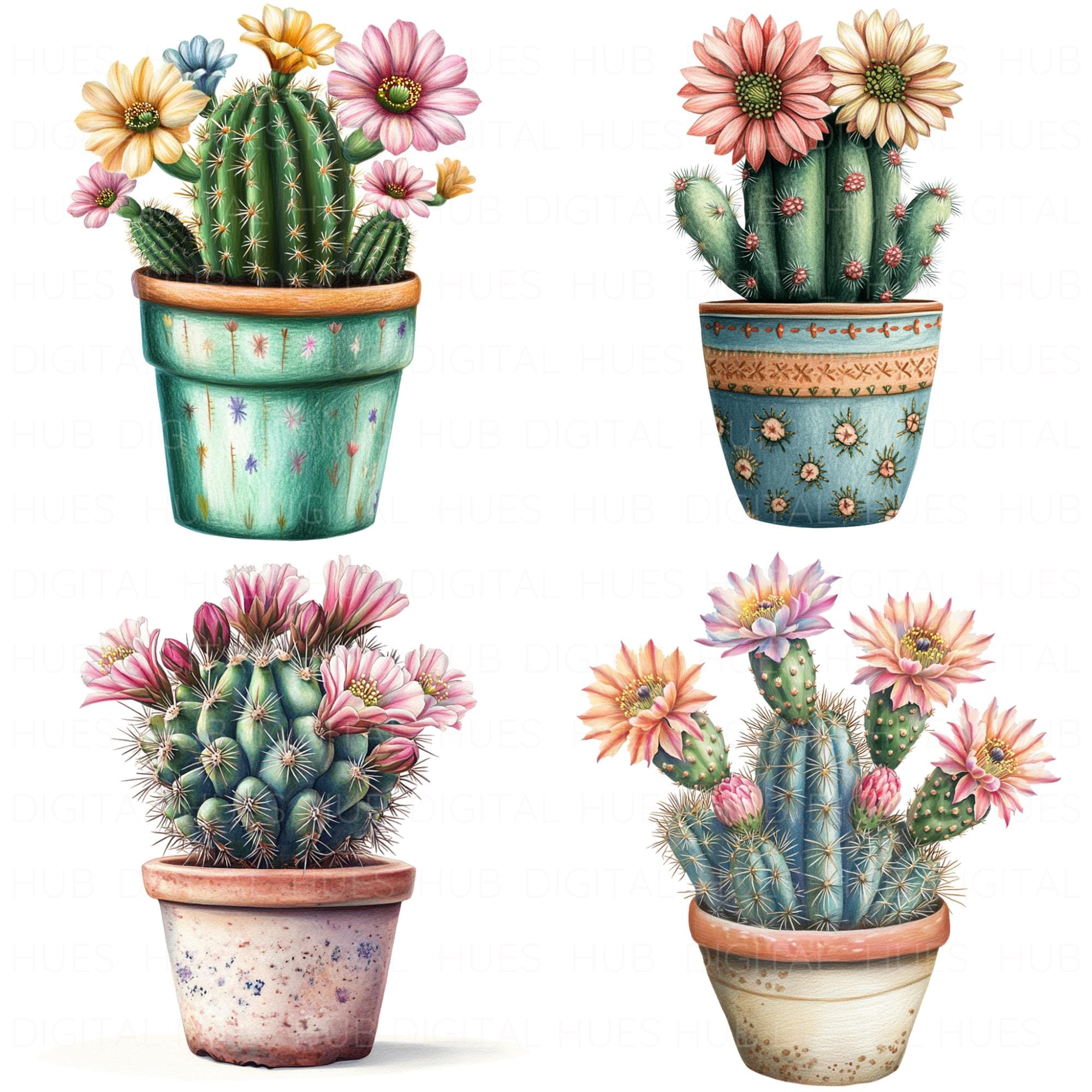 18 Cactus in Pot Clipart Watercolor Blooming Cactus Plant Succulent ...