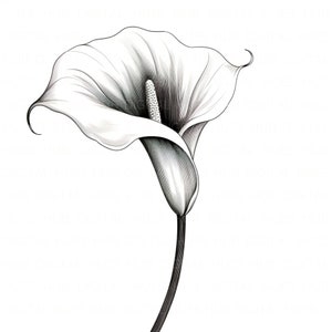 Lot de 15 cliparts fleurs noir et blanc croquis Clipart fleur minimaliste Art mural JPEG haute qualité Clipart pour chambre d'enfant, bricolage