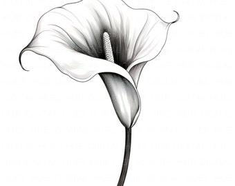 15 Black White Flowers Clipart Bundle Flower Sketch Clipart Minimalistic Flower Art High Quality JPEG Wall Art Clipart for Nursery Home DIY