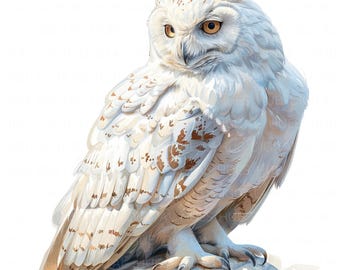 12 White Owl Clipart Watercolor Nursery Owl Clipart Digital Download High Quality JPEG Printable For Scrapbook Junk Journal Paper Craft DIYs