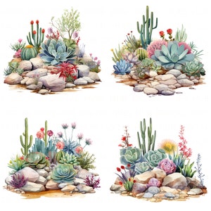 May include: Four watercolor illustrations of desert landscapes featuring various cacti and succulents in shades of green, pink, red, and yellow. The plants are arranged on a bed of gray rocks.